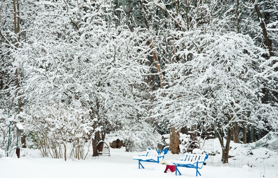 1st Snow of the Season in NY