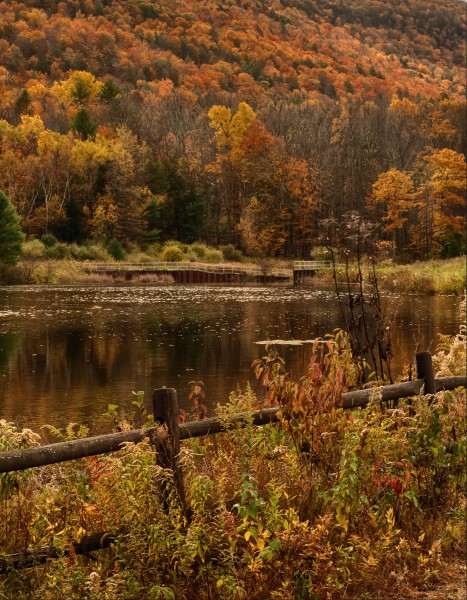 Mt Tremper, New YorkFall Afternoon